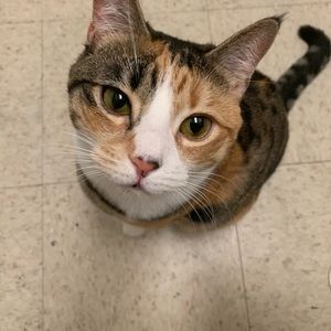 Meet your Posher, Nia